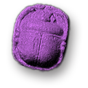 Purple Scarab: Discoveries